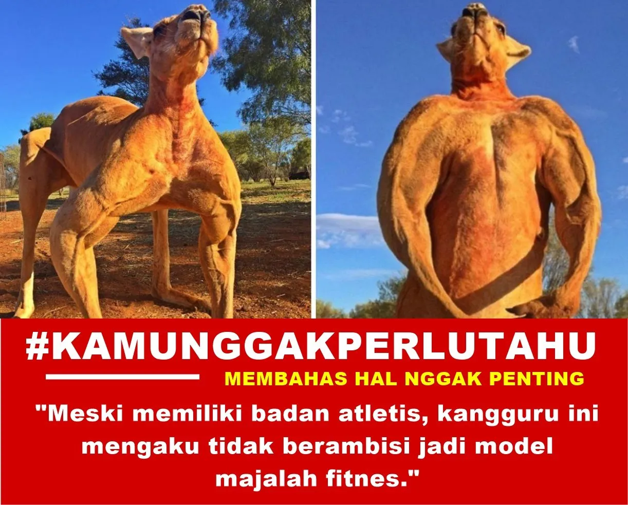 Jangan Asal Percaya, 10 Headline Berita ini Bisa Bikin Logikamu Cedera lo. Kocak sih, Tapi Ngeselin! 18