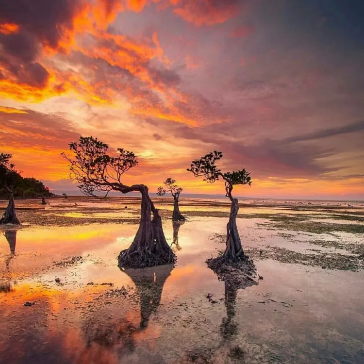 12 Destinasi Instagramable di Sumba Timur yang Epik dan Indah Banget. Harus Datang ke Sini Sih! 13