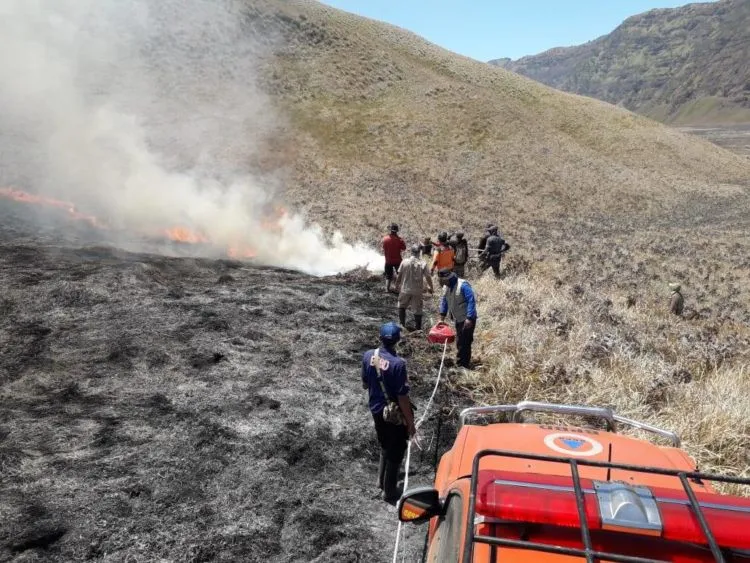 Destinasi Wisata yang Terbakar Kembali Bertambah. Terbaru, Bukit Teletubbies di Bromo Juga Gosong! 5