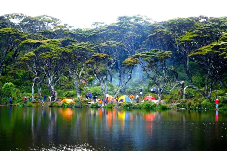 Pendaki yang Kelelahan di Gunung Singgalang Justru Dicabuli Temannya Sendiri. Kok Tega Banget Sih! 5