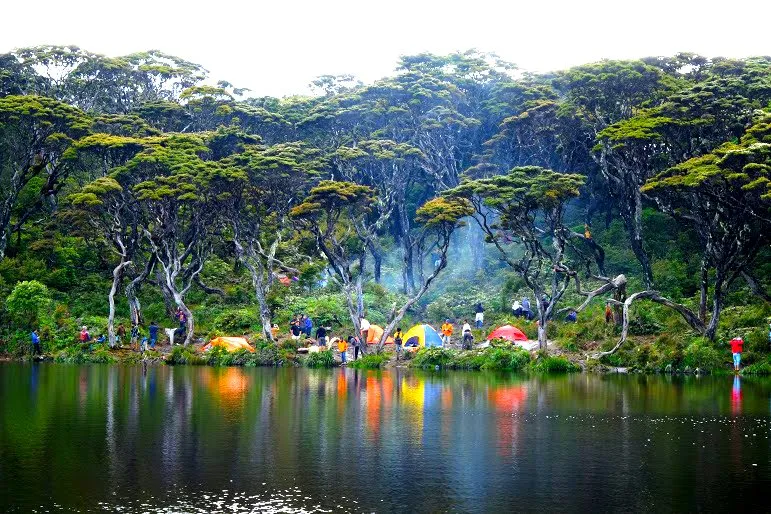 Pendaki yang Kelelahan di Gunung Singgalang Justru Dicabuli Temannya Sendiri. Kok Tega Banget Sih!
