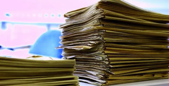 8 Barang yang Mengundang Banyak Hewan Berdatangan. Yuk, Jadikan Rumah Bersih dan Nyaman 13