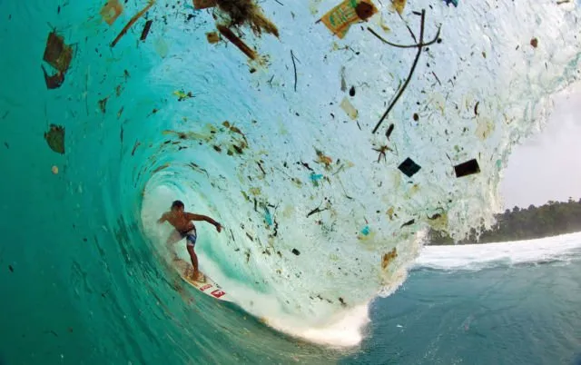 4 Hewan Pemakan Plastik, Mungkin Bisa Jadi Solusi Buat Mengurangi Sampah Plastik di Dunia 6