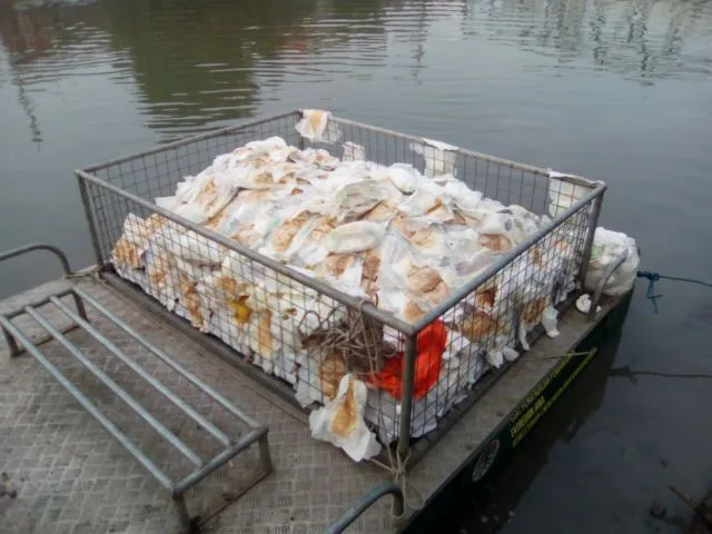 Sungai di Pulau Jawa Darurat Sampah Popok. Seharusnya Limbah Diolah Sebelum Mencemari Lingkungan 6