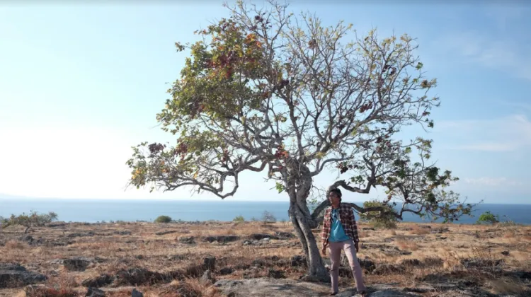 12 Destinasi Instagramable di Sumba Timur yang Epik dan Indah Banget. Harus Datang ke Sini Sih! 15