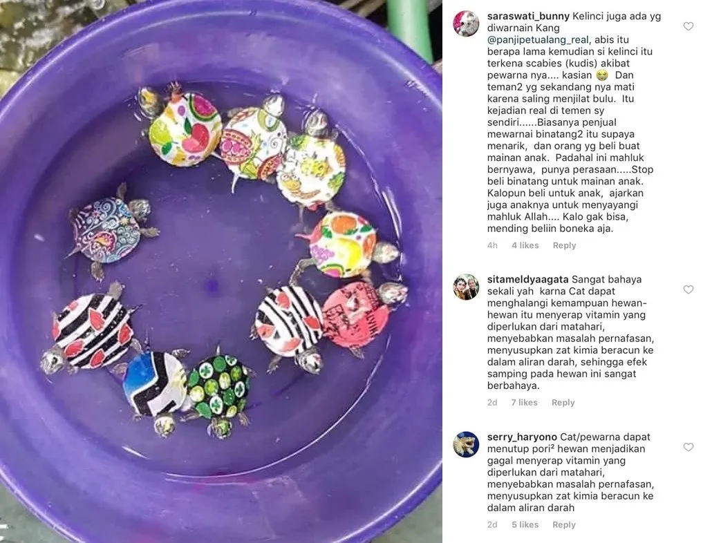 Saat Penjualan Hewan Berwarna Masih Diminati, Fakta Di Baliknya Justru Bikin Miris Hati. Kasihan :( 6