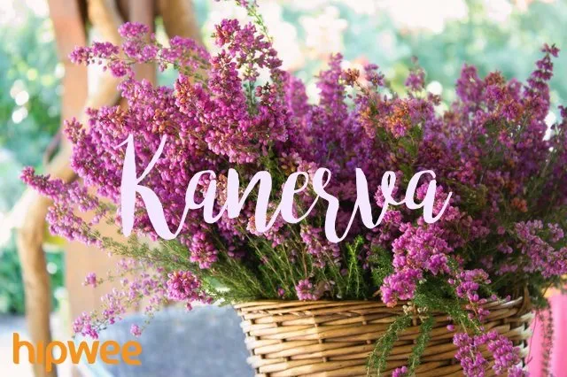 14+ Inspirasi Nama Bayi Perempuan Berdasarkan Nama Bunga Mancanegara. Unik, Cantik dan Belum Pasaran 28