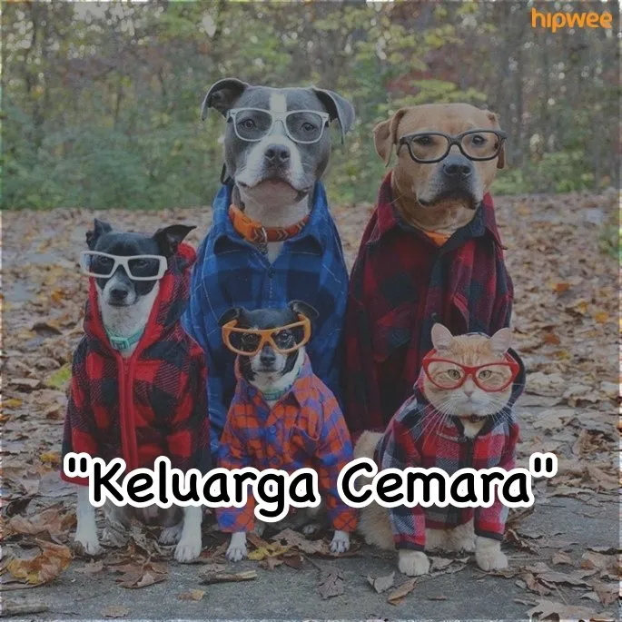 15 Potret Kumpulan Hewan ini Udah Kayak Cover Album Musisi Papan Atas. Kira-Kira Rilis Single Apa nih? 19