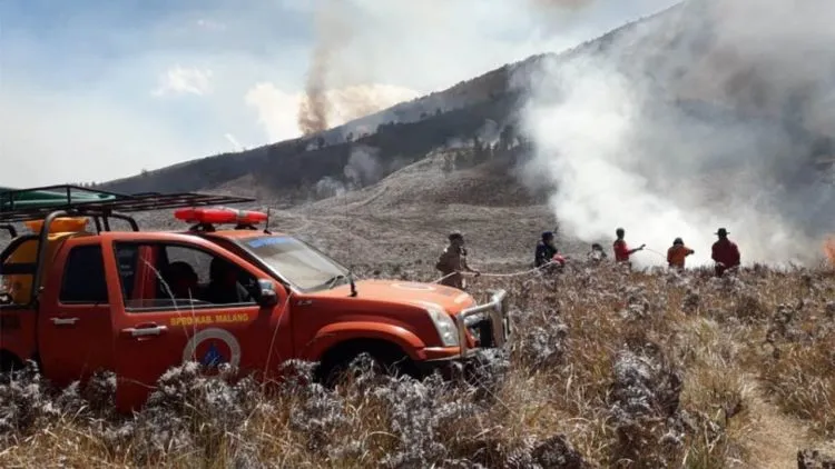 Destinasi Wisata yang Terbakar Kembali Bertambah. Terbaru, Bukit Teletubbies di Bromo Juga Gosong! 4
