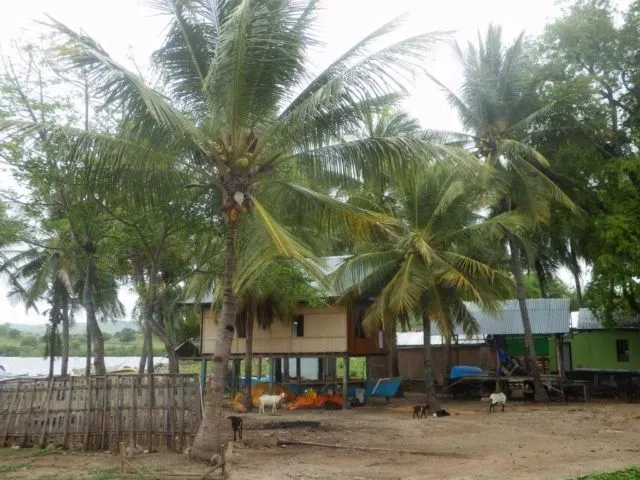 Pengalaman Seru Tinggal di Pulau Pribadi. Kerjaannya Cuma Berenang, Berjemur dan Santai di Pantai 14