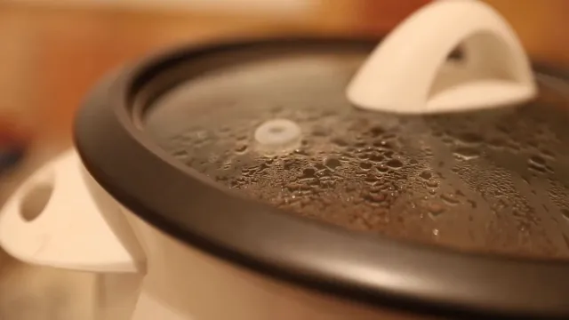 8 Trik Menanak Nasi di Rice Cooker Agar Pulen dan Nggak Gampang Basi 15