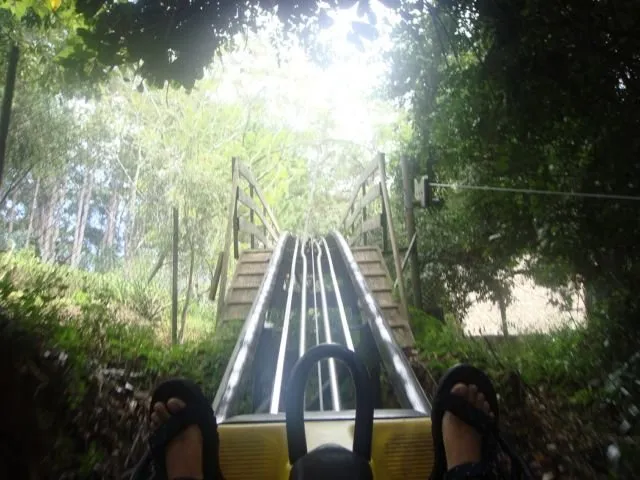 Serunya Nyobain Roller Coaster Hidrolik di Vietnam. Semua Serba Atur Sendiri, Ngeri Juga Nih! 11