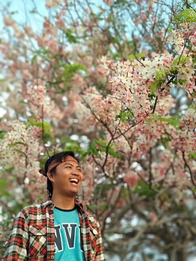 Bunga Sakura Tengah Mekar di Pulau Sumba. Nggak Usah Jauh-jauh ke Jepang Buat Lihat Sakura! 5