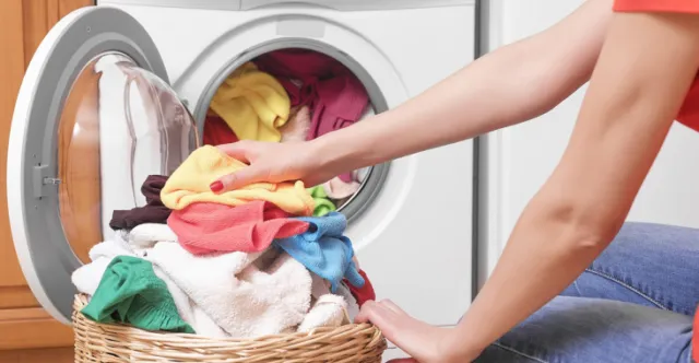 9 Fakta Seputar Tungau yang Mungkin Sedang Menghuni Kamarmu. Hiy, Geli~ 17 fakta tentang tungau