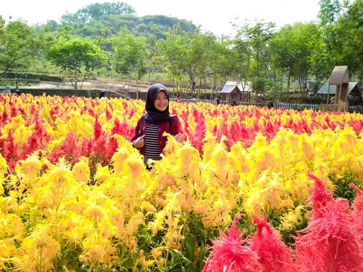 7 Destinasi Wisata Kekinian di Semarang yang Bakal Bikin Kamu Betah dan Enggan Pulang! 9