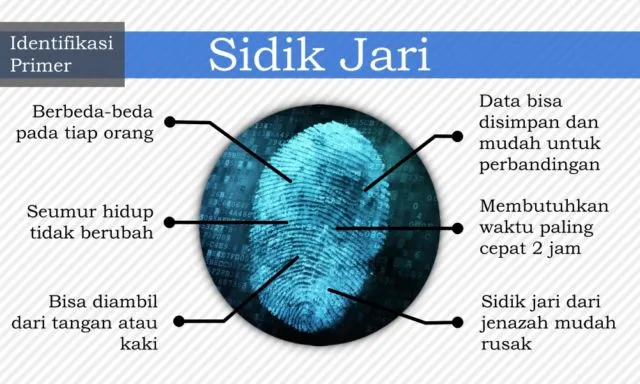 7 Cara Identifikasi Jenazah yang Bisa Diupayakan untuk Kenali Korban. Dari Gigi, DNA, Hingga Tato 8