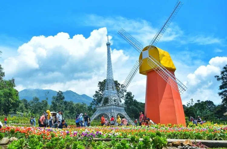 Taman Celosia Bandungan, Destinasi Warna-Warni di Semarang yang Memanjakan Mata! 9