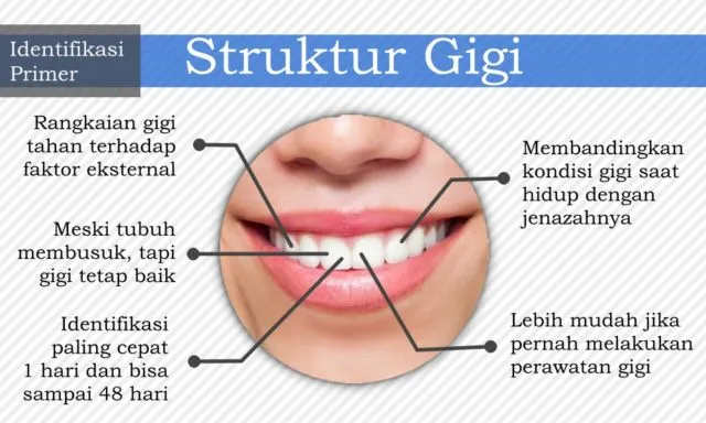 7 Cara Identifikasi Jenazah yang Bisa Diupayakan untuk Kenali Korban. Dari Gigi, DNA, Hingga Tato 9