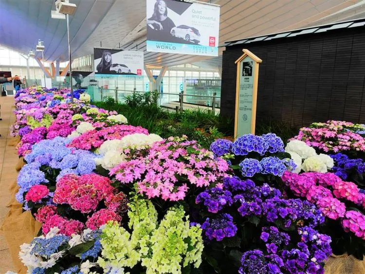 10 Bandara Keren dengan Fasilitas yang Memanjakan Traveler. Bikin Betah, Delay pun Nggak Masalah 14