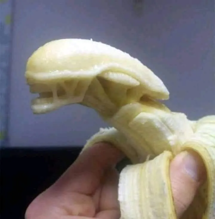 Nggak Bikin Menggairahkan, 15 Foto Makanan ini Malah Bikin Ngakak. Mau Makan Aja Lawak! 20