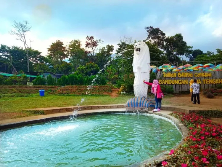 Taman Celosia Bandungan, Destinasi Warna-Warni di Semarang yang Memanjakan Mata! 11