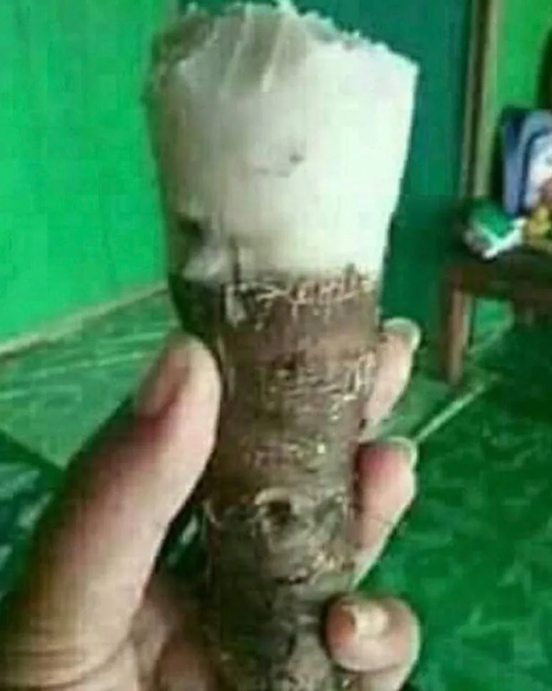 Nggak Bikin Menggairahkan, 15 Foto Makanan ini Malah Bikin Ngakak. Mau Makan Aja Lawak! 29