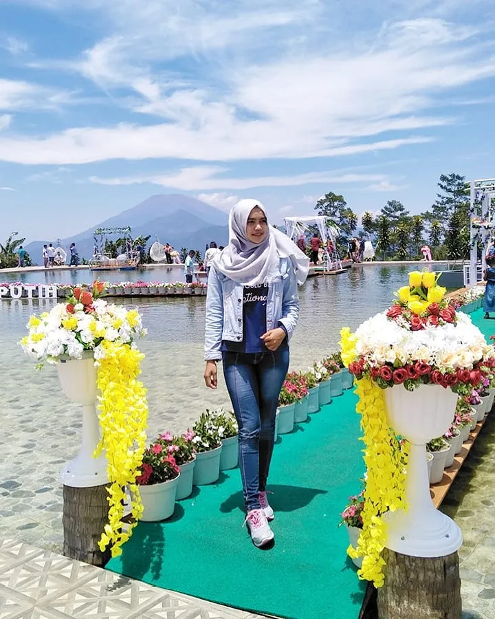 Taman Celosia Bandungan, Destinasi Warna-Warni di Semarang yang Memanjakan Mata! 12