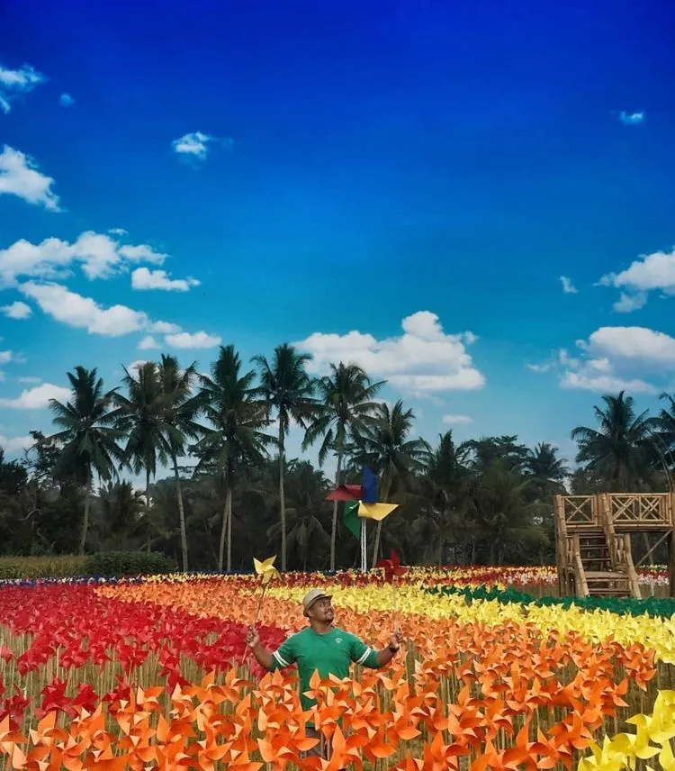 Berfoto dengan Kitiran Warna-Warni di Taman Dewari. Destinasi yang Hits dan Instagramable di Magelang! 11