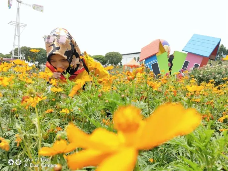 Taman Celosia Bandungan, Destinasi Warna-Warni di Semarang yang Memanjakan Mata! 13