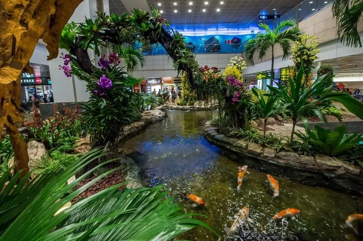 10 Bandara Keren dengan Fasilitas yang Memanjakan Traveler. Bikin Betah, Delay pun Nggak Masalah 11