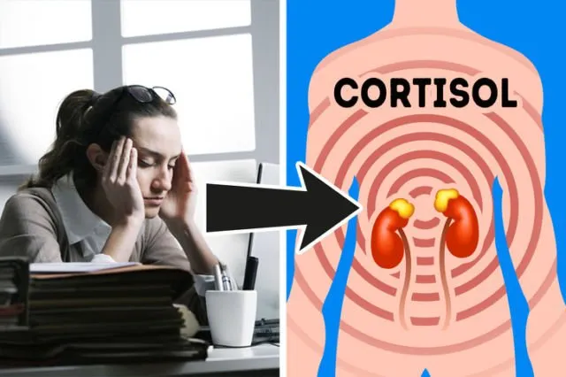 8 Hormon yang Paling Ngaruh ke Berat Badan. Tenang, Bisa Dikendalikan! 11 hormon yang pengaruh ke berat badan