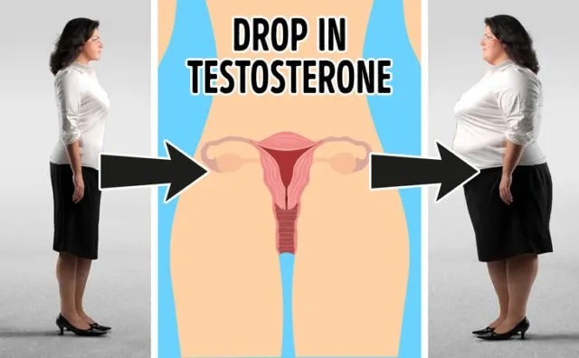 8 Hormon yang Paling Ngaruh ke Berat Badan. Tenang, Bisa Dikendalikan! 12 hormon yang pengaruh ke berat badan