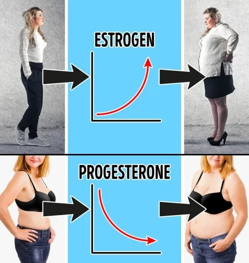 8 Hormon yang Paling Ngaruh ke Berat Badan. Tenang, Bisa Dikendalikan! 13 hormon yang pengaruh ke berat badan