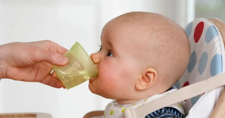 Viral Anak 2 Bulan Dicekoki Bubur Bayi Bikin Warganet Geram. Ini 5 Alasan Medis MPASI Jangan Diberikan Sebelum Waktunya 6