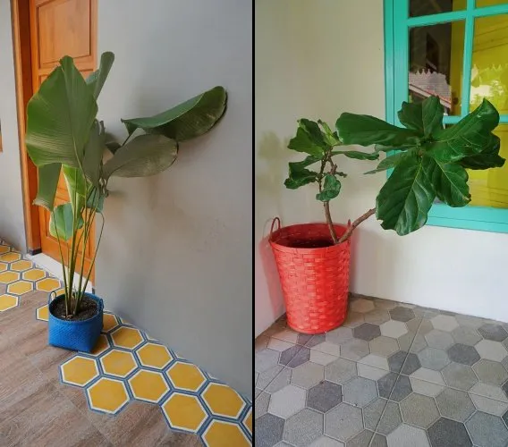 Aneka Perabot Unik untuk Hiasan Rumah Ala Shabby Chic, Bikin Pengen Foto-Foto Terus! 39