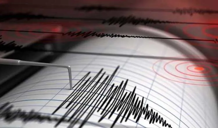 5 Alasan Kenapa Gempa Bumi Susah Banget atau Bahkan Mustahil Diprediksi. Bukan karena BMKG Bodoh 7