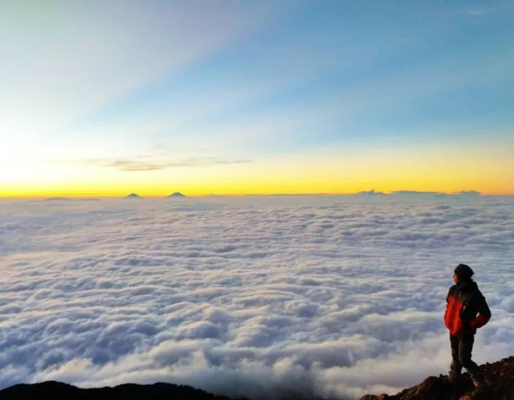 Tempat Wisata di Purwokerto Banyumas yang Hits Terbaru 16