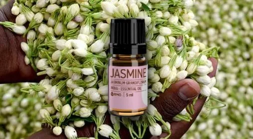 5 Alasan Kenapa Parfum Asli Harganya Bisa Selangit. Benar-benar Nggak Bisa Dibandingin Sama yang KW 9