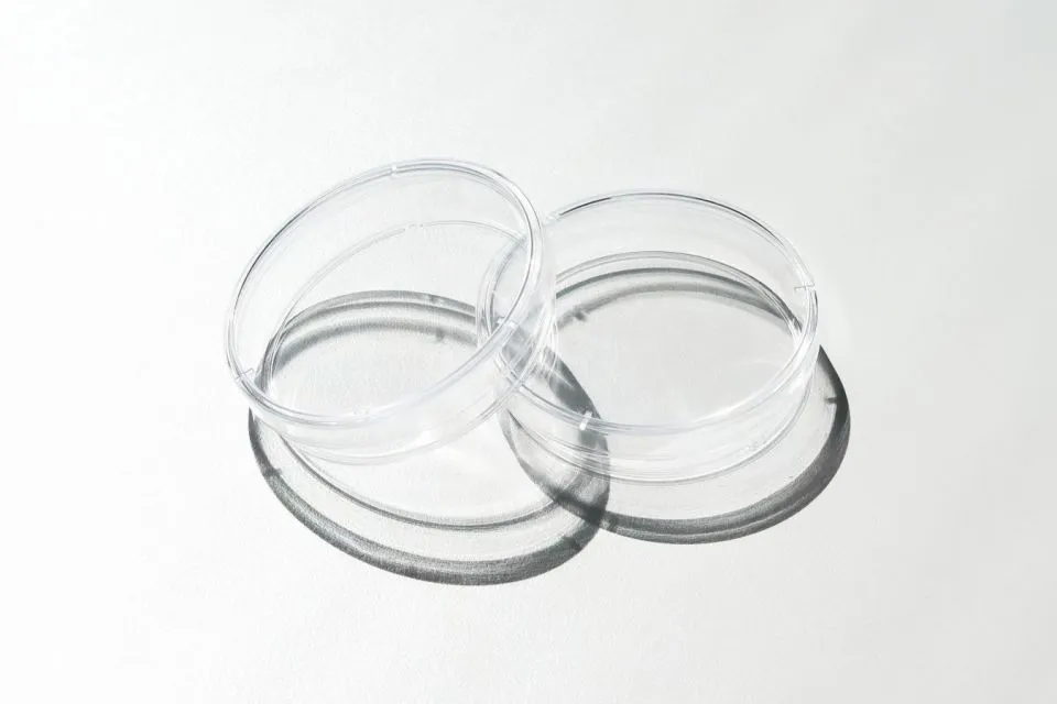 5 Panduan Praktis Memilih, Merawat dan Menggunakan Softlenses Buat Pemula 7 Tips merawat softlense