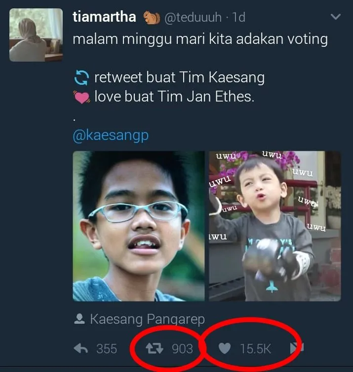 12 Guyonan Warganet buat Kaesang. Kapan Lagi Bisa Ngecengin Anak Presiden dengan Sebebas ini? :D 23