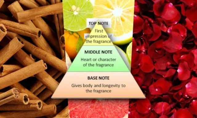 5 Alasan Kenapa Parfum Asli Harganya Bisa Selangit. Benar-benar Nggak Bisa Dibandingin Sama yang KW 10