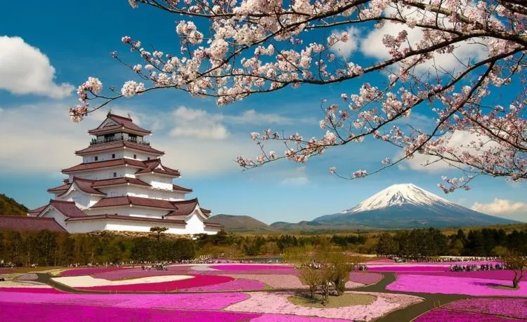 Panduan Praktis Bikin Visa ke Jepang. Biar Liburan ke Negeri Sakura Tak Sekedar Angan Belaka! 8