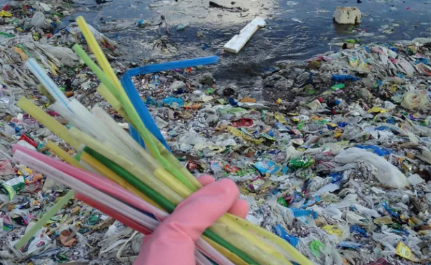 Bisakah Kamu Hidup Tanpa Benda-Benda Ini? 7 Produk Plastik Ini Mulai Dilarang di Mana-mana Lho 10