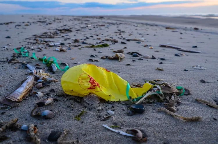 Bisakah Kamu Hidup Tanpa Benda-Benda Ini? 7 Produk Plastik Ini Mulai Dilarang di Mana-mana Lho 13