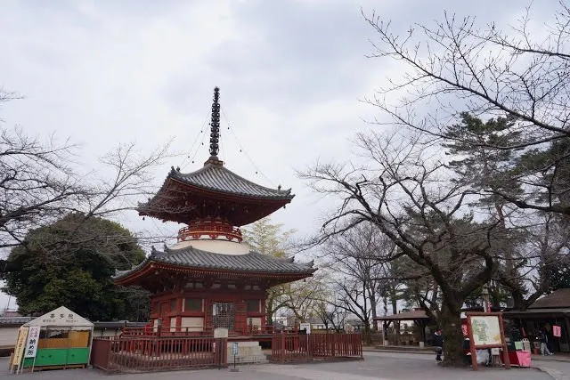 Panduan Praktis Bikin Visa ke Jepang. Biar Liburan ke Negeri Sakura Tak Sekedar Angan Belaka! 12