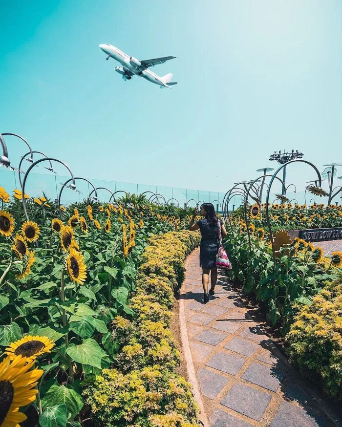 Foto-Foto Kemewahan Bandara Changi, Singapura, Ini Bakal Bikin Kamu Berdecak Kagum! 12