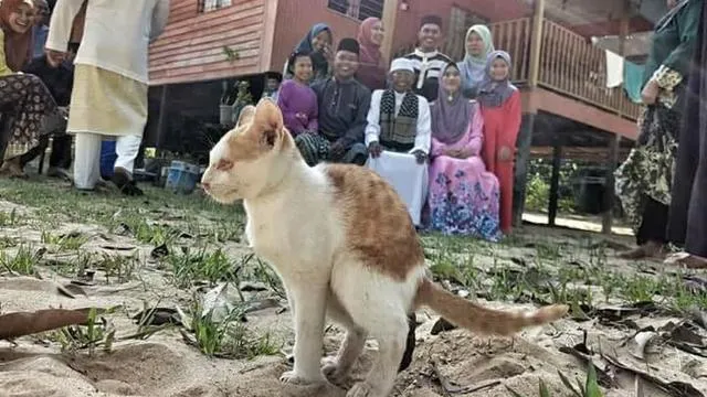 Kata Siapa Foto Bareng itu Gampang? 11 Gangguan ini Sering Terjadi lo, Tapi Malah Bikin Ngakak 19