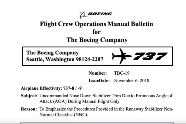 Titik Terang Kecelakaan Lion Air JT610: Indikator Pesawat Boeing 737 Max 8 Rusak. Inilah 5 Faktanya 10