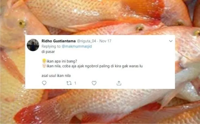 12+ Sejarah Asal Usul Nama Ikan Versi Warganet Twitter. Orang Awam mah Pasti Nggak Pernah Kepikiran! 22