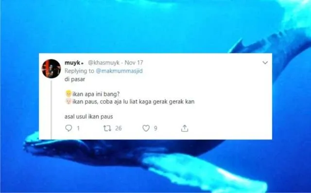 12+ Sejarah Asal Usul Nama Ikan Versi Warganet Twitter. Orang Awam mah Pasti Nggak Pernah Kepikiran! 23